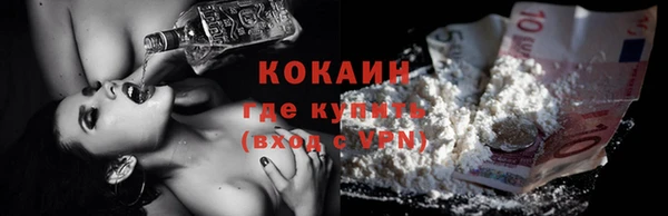 стаф Магас