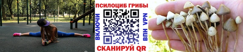 ОМГ ОМГ ТОР  продажа наркотиков  Абакан  Псилоцибиновые грибы GOLDEN TEACHER 
