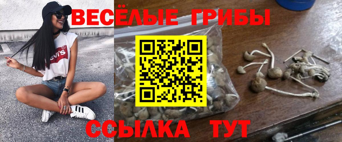 Галлюциногенные грибы MAGIC MUSHROOMS  Вход с VPN  Абакан  Псилоцибиновые грибы мицелий 
